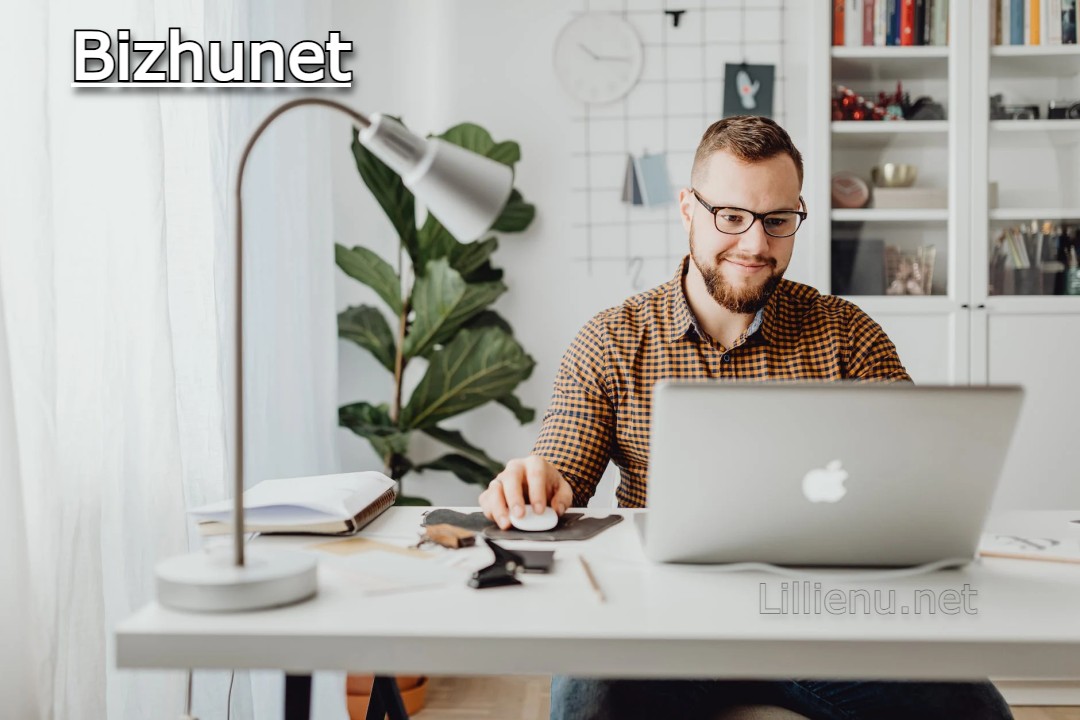 Bizhunet