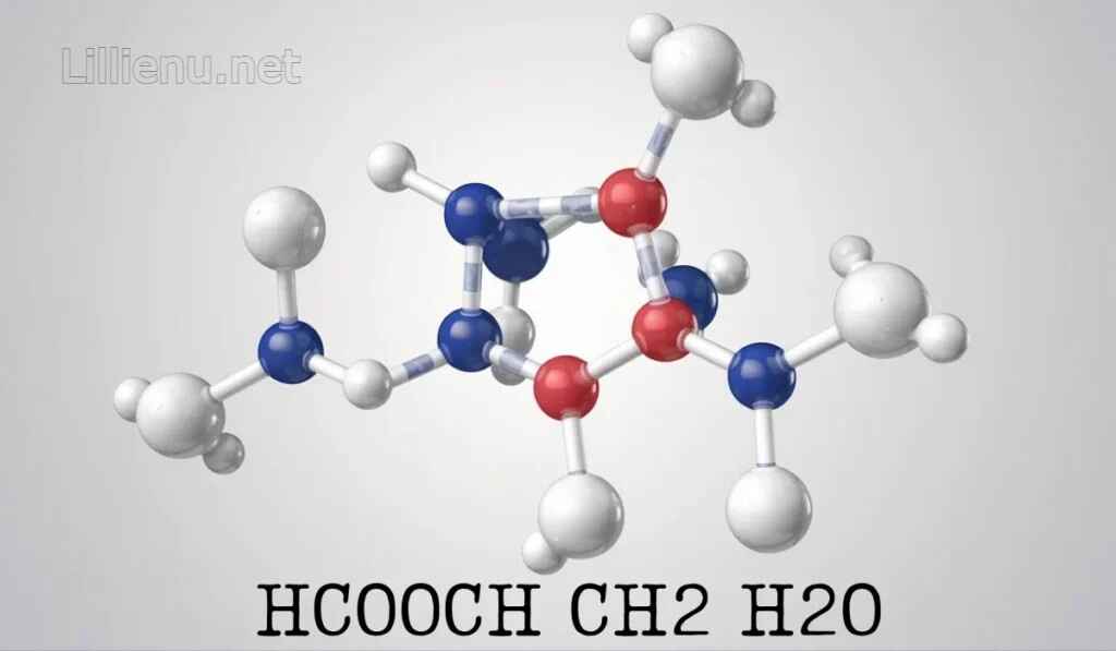 HCOOCH CH2 H2O