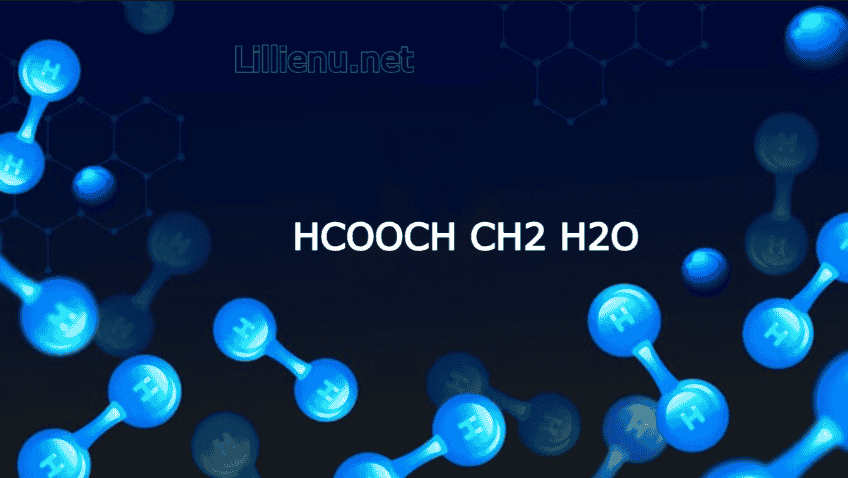 HCOOCH CH2 H2O